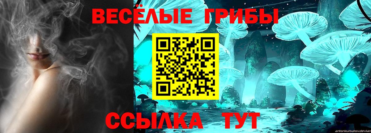 Псилоцибиновые грибы ЛСД  Псилоцибиновые грибы GOLDEN TEACHER  Вход с VPN  Гусев 